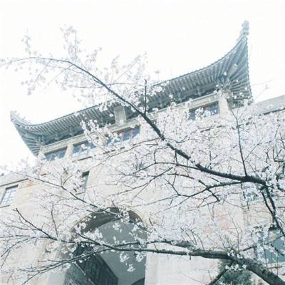 连接中塞文化的纽带——贝尔格莱德中国文化中心